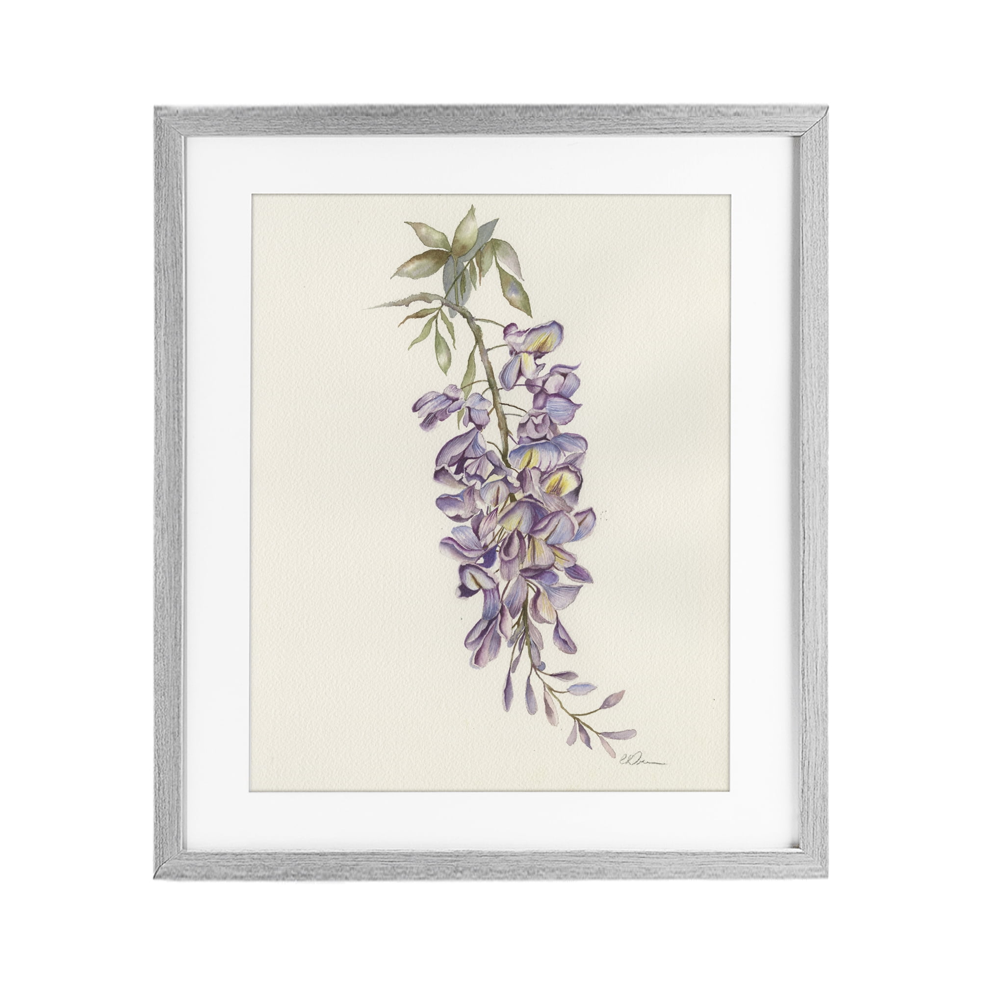 Stupell Industries Delicate Hyacinths Study Gray Framed Print Under Glass, design by Cady Driver
