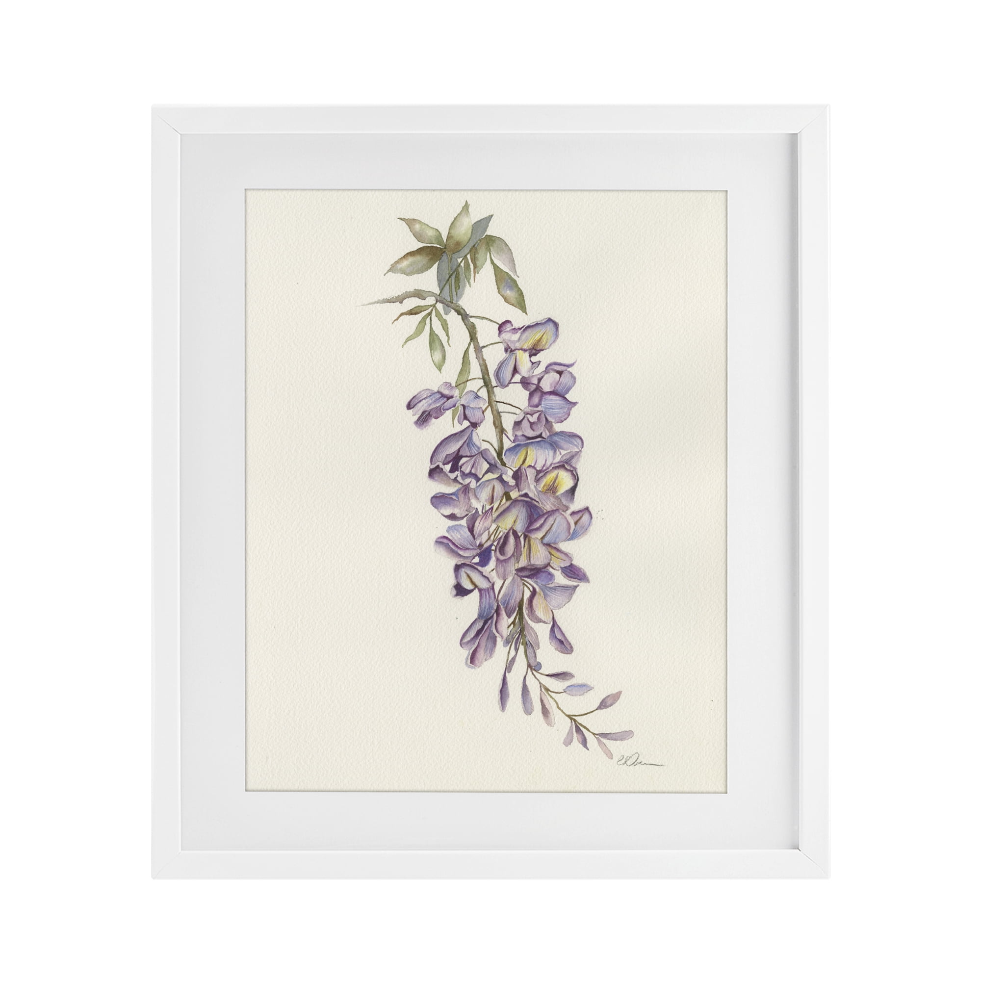 Stupell Industries Delicate Hyacinths Study White Framed Print Under Glass, design by Cady Driver