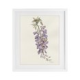 thumbnail image 1 of Stupell Industries French Country Delicate Hyacinths Study White Framed Print Under Glass, 17 x 21, by Cady Driver, 1 of 8