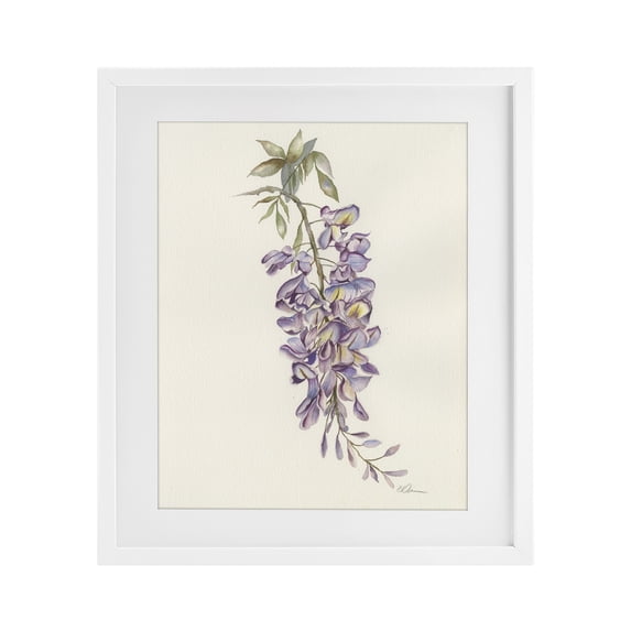 Stupell Industries French Country Delicate Hyacinths Study White Framed Print Under Glass, 17 x 21, by Cady Driver