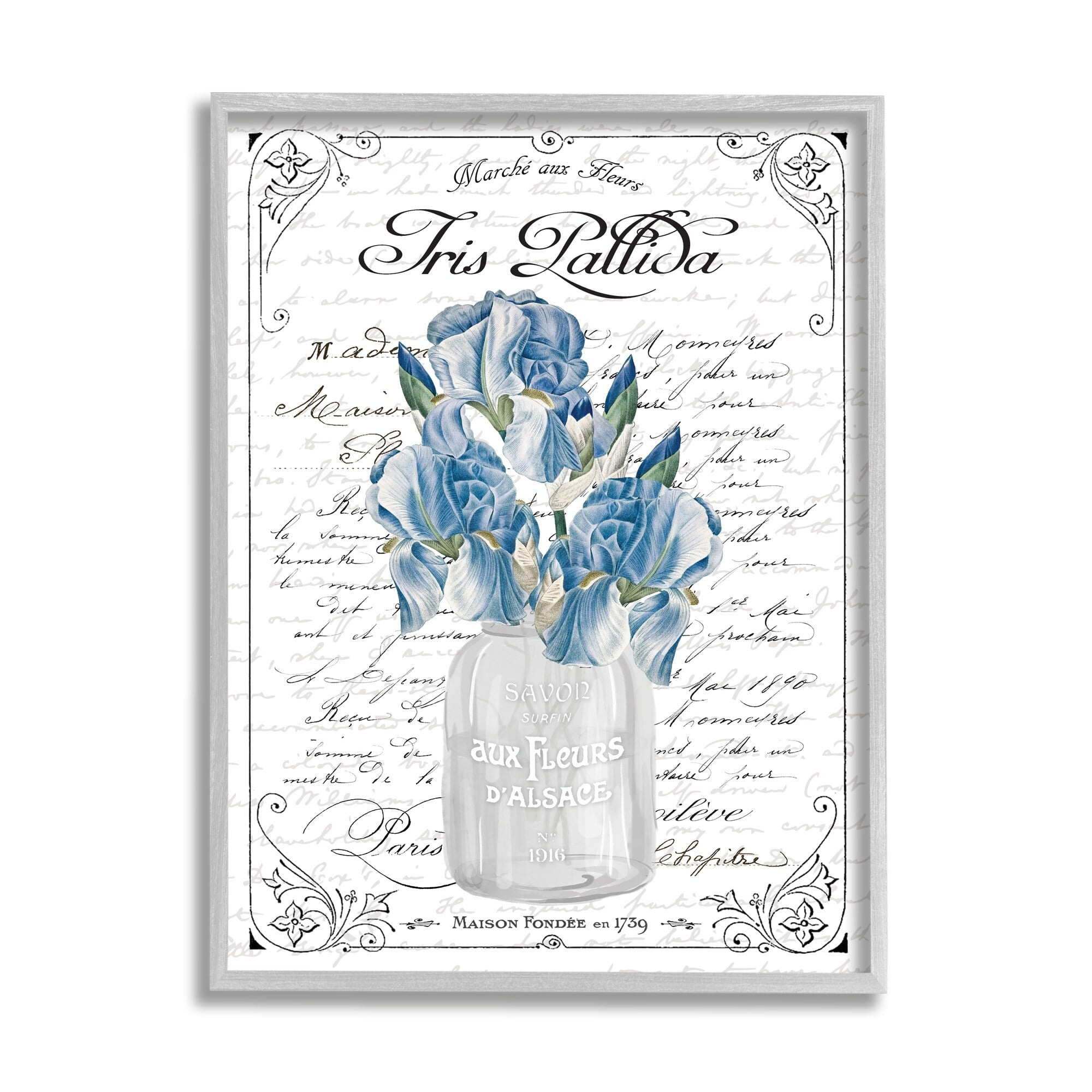 Stupell Industries Delicate Iris Flower Bouquet Ornate French Script Border Graphic Art Gray Framed Art Print Wall Art, Design by Lettered and Lined