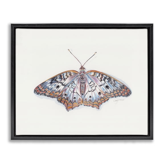Delicate Moth with Detailed Pattern Black Floating Frame Canvas Art, 21 x 17, Made In USA