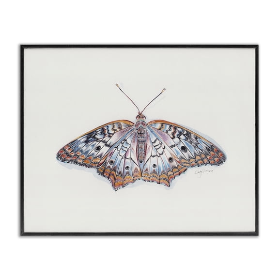 Delicate Moth with Detailed Pattern Black Framed Giclee Art, 14 x 11, Made In USA