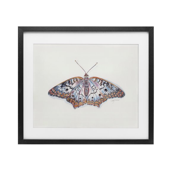 Delicate Moth with Detailed Pattern Black Framed Print Under Glass, 16 x 13, Made In USA