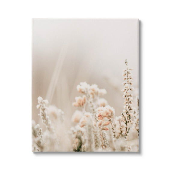 Stupell Industries Delicate Wildflower Blossoms Photograph Gallery Wrapped Canvas Print Wall Art, Design by Leah Straatsma