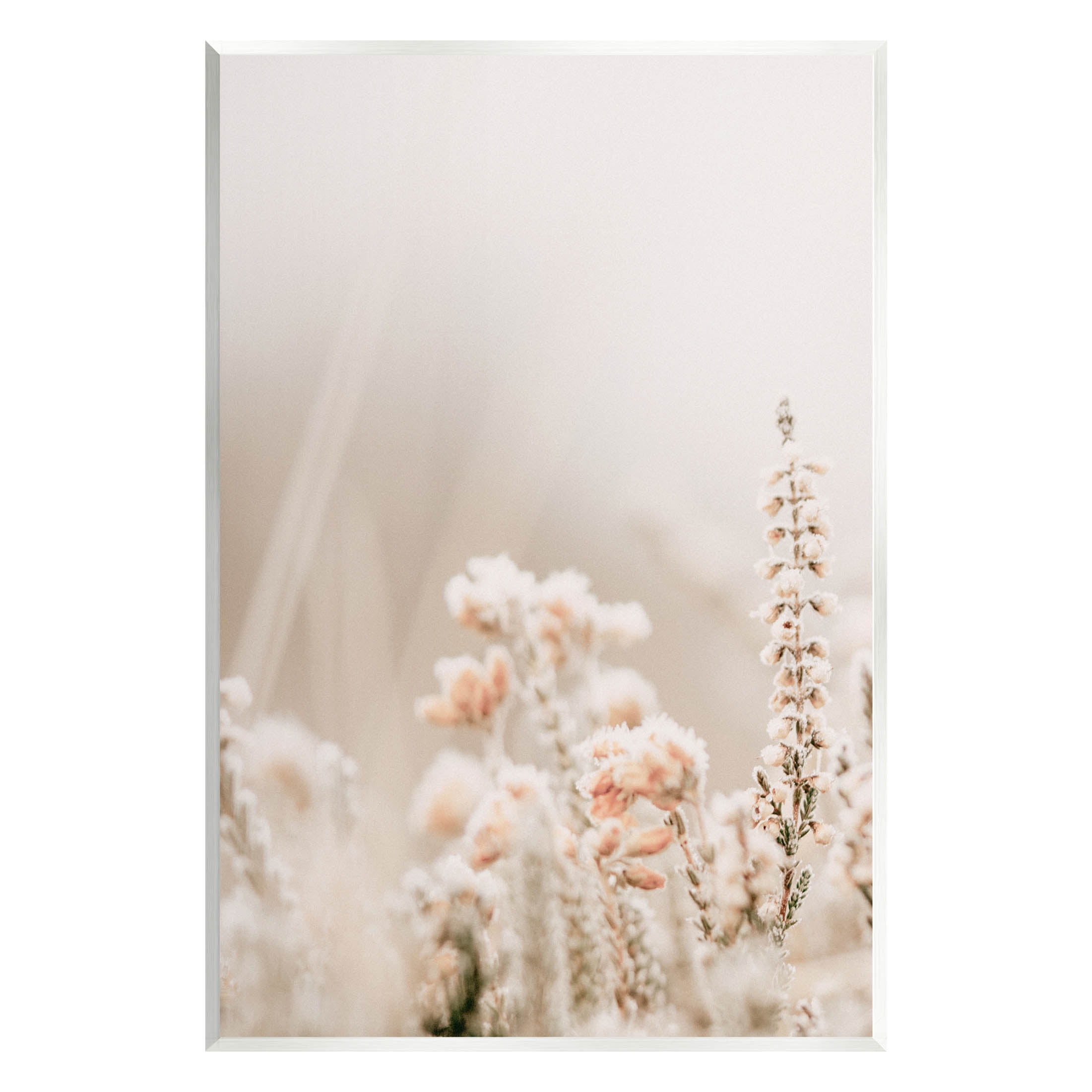 Stupell Industries Delicate Wildflower Blossoms Photograph Unframed Art Print Wall Art, Design by Leah Straatsma