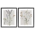 thumbnail image 1 of Stupell Industries Shabby Chic Delicate Wildflower Herb Sprigs Black 2pc Floating Frame Art Set, 17 x 21 each, by Carol Robinson, 1 of 8