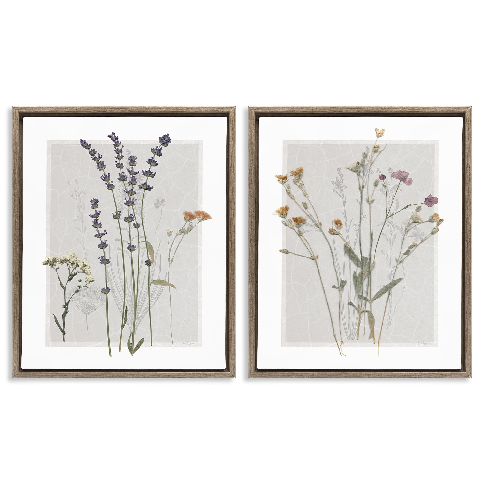 Stupell Industries Delicate Wildflower Herb Sprigs Botanical & Floral Painting Brown Floater Framed Canvas Art Print Wall Art, 25 x 31, Set of 2