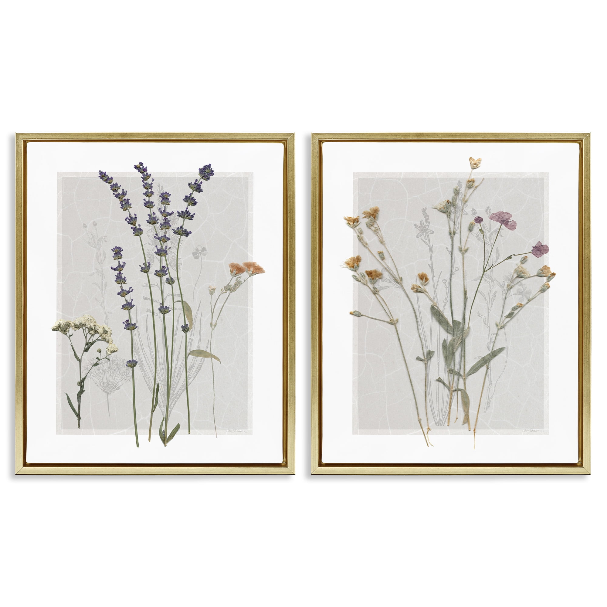 Stupell Industries Delicate Wildflower Herb Sprigs Botanical & Floral Painting Gold Floater Framed Canvas Art Print Wall Art, 25 x 31, Set of 2