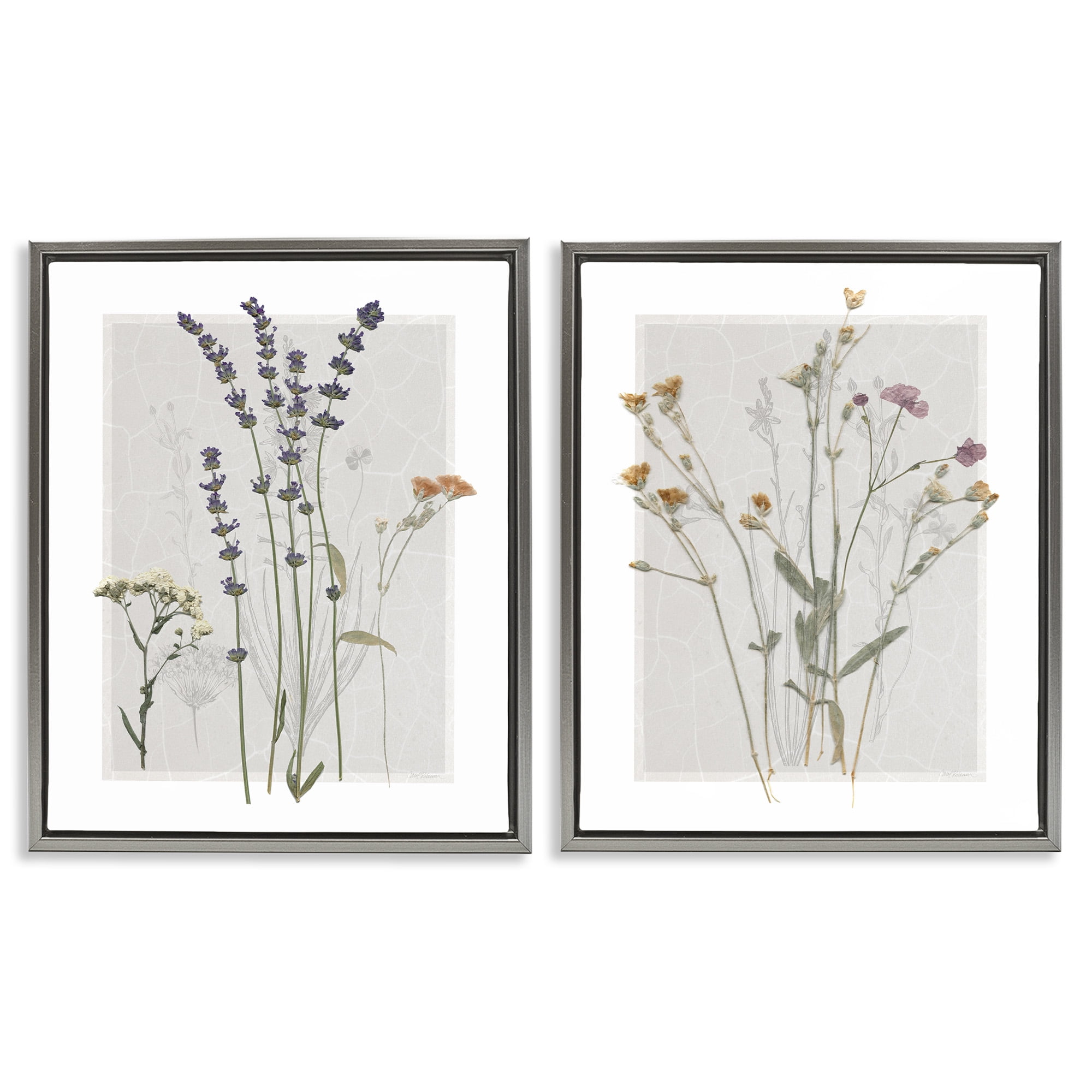 Stupell Industries Delicate Wildflower Herb Sprigs Botanical & Floral Painting Gray Floater Framed Canvas Art Print Wall Art, 25 x 31, Set of 2