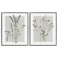 thumbnail image 1 of Stupell Industries Delicate Wildflower Herb Sprigs Lavender Nature Botanicals Graphic Art Black Framed Art Print Wall Art, Set of 2, Design by Carol Robinson, 1 of 5