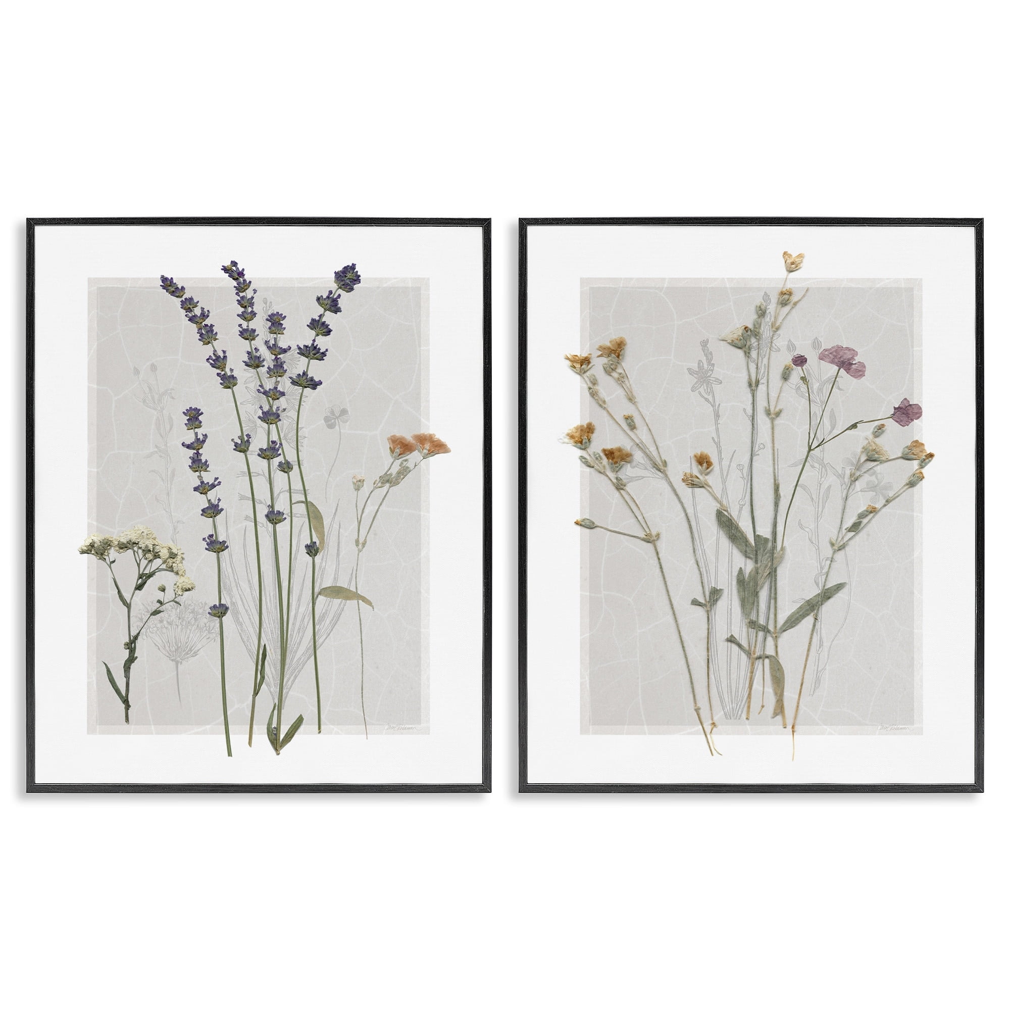 Delicate Wildflower Herb Sprigs Lavender Nature Botanicals Black Framed Canvas Art Set