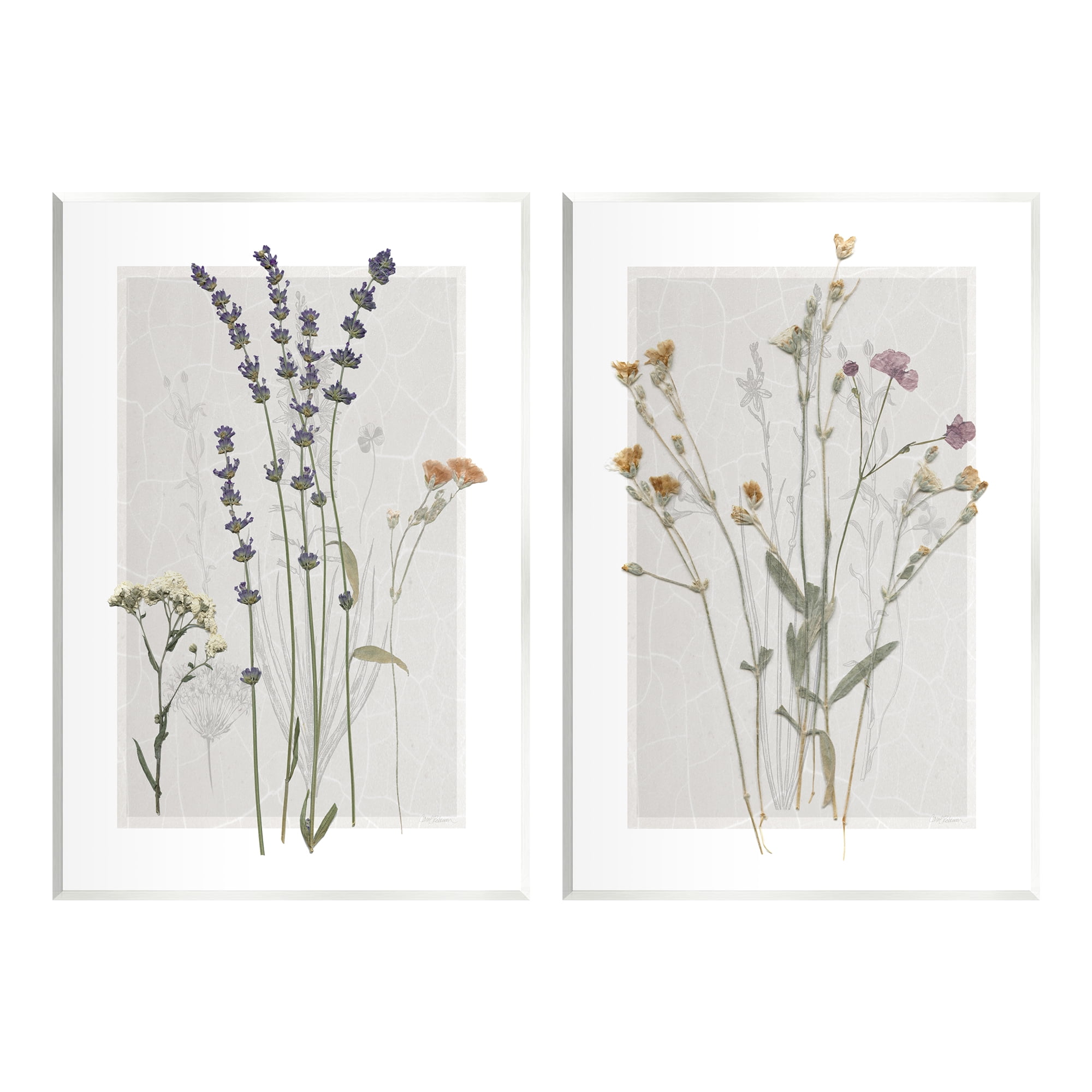 Stupell Industries Delicate Wildflower Herb Sprigs Lavender Nature Botanicals Graphic Art Unframed Art Print Wall Art, Set of 2, Design by Carol Robinson