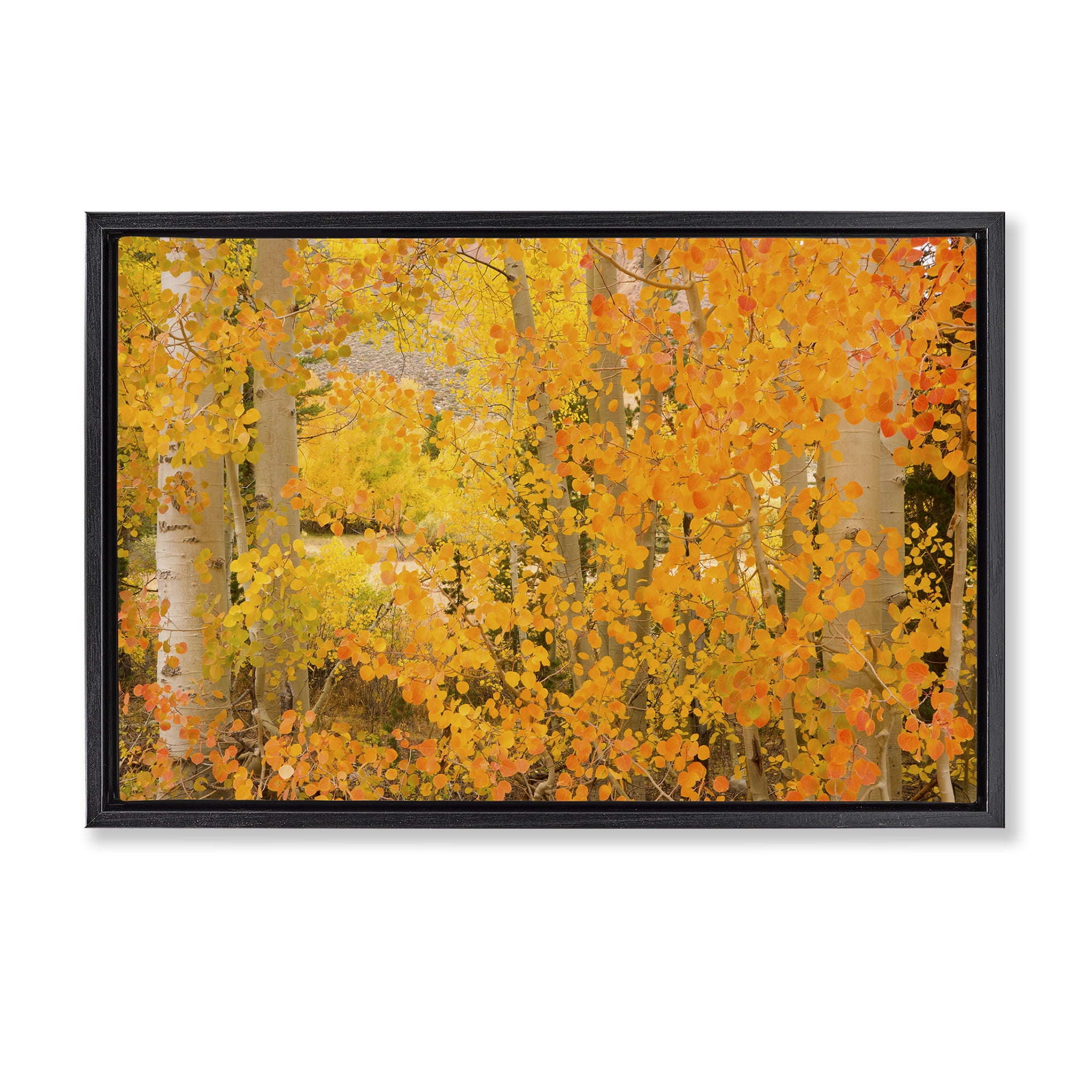 Stupell Industries Dense Birch Foliage Plants & Flowers Photography Black Floater Framed Canvas Art Print Wall Art, 31 x 21