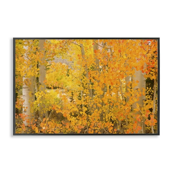 Stupell Industries Dense Birch Foliage Plants & Flowers Photography Black Framed Art Print Wall Art, 18 x 12