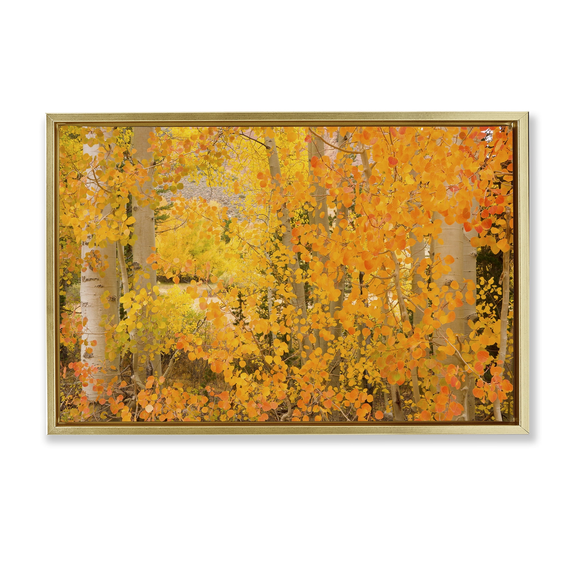 Stupell Industries Dense Birch Foliage Plants & Flowers Photography Gold Floater Framed Canvas Art Print Wall Art, 25 x 17
