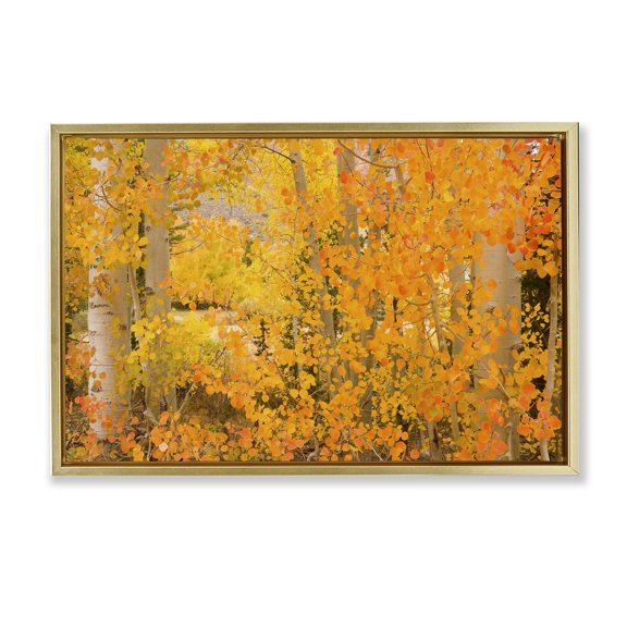 Stupell Industries Dense Birch Foliage Plants & Flowers Photography Gold Floater Framed Canvas Art Print Wall Art, 31 x 21