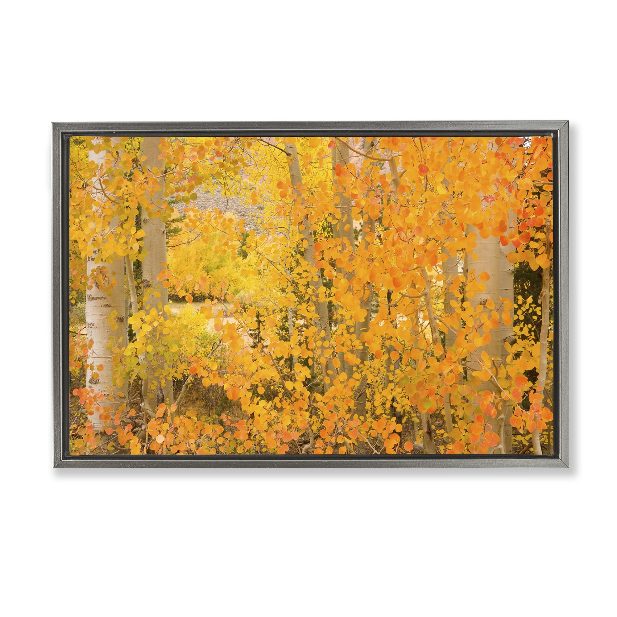Stupell Industries Dense Birch Foliage Plants & Flowers Photography Gray Floater Framed Canvas Art Print Wall Art, 25 x 17