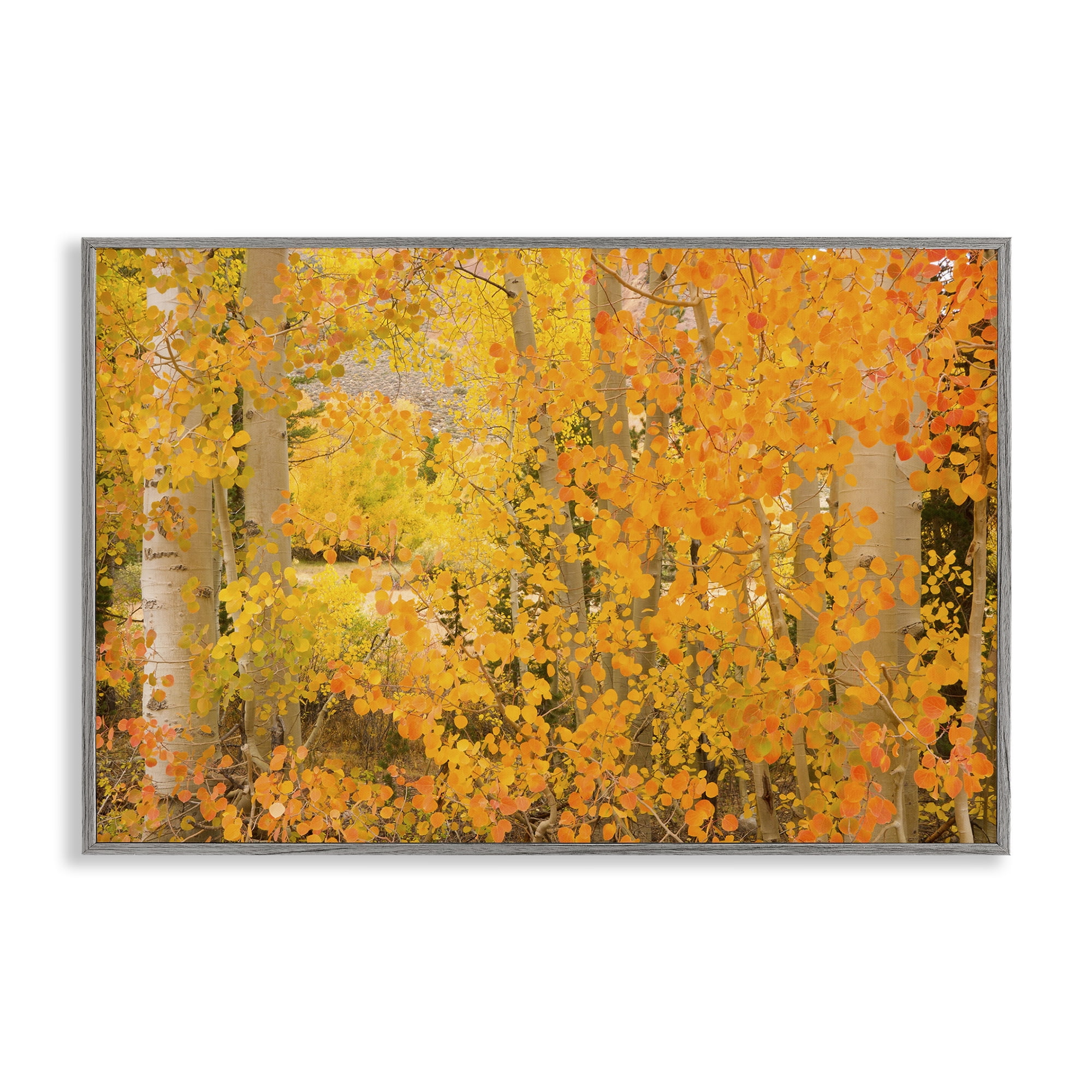 Stupell Industries Dense Birch Foliage Plants & Flowers Photography Gray Framed Art Print Wall Art, 24 x 16