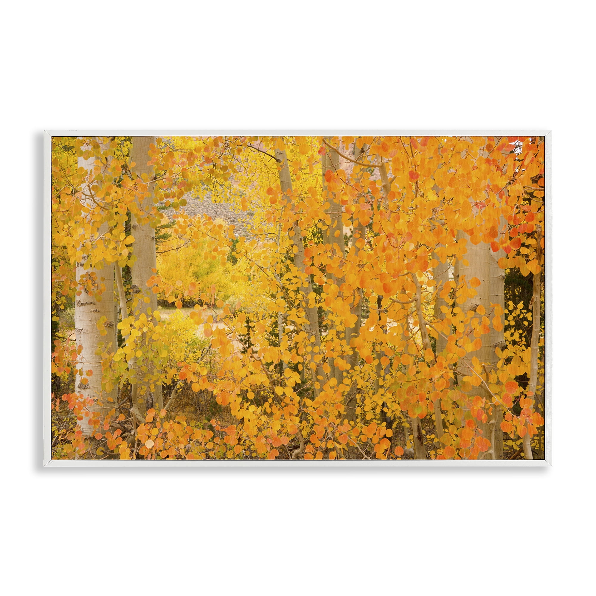 Stupell Industries Dense Birch Foliage Plants & Flowers Photography White Framed Art Print Wall Art, 24 x 16
