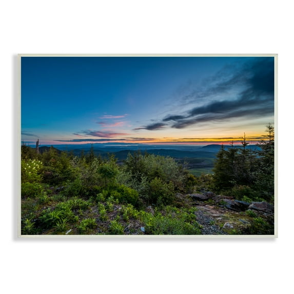 Stupell Industries Dense Brush Sunset Landscape Blue Sky Modern Photography, 19 x 13,Design by Keith Morgan