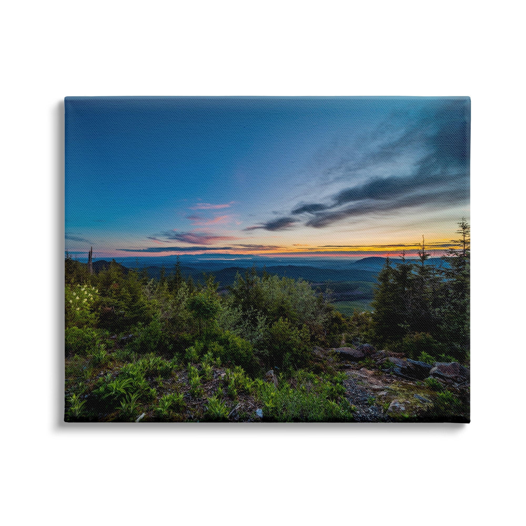Stupell Industries Dense Brush Sunset Landscape Blue Sky Modern Photography, 30 x 24,Design by Keith Morgan