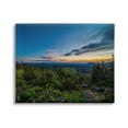 thumbnail image 1 of Stupell Industries Dense Brush Sunset Landscape Blue Sky Modern Photography, 30 x 24,Design by Keith Morgan, 1 of 5