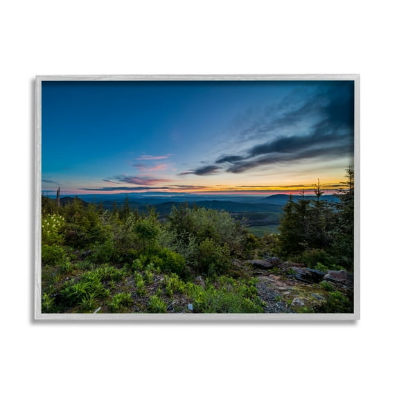 Stupell Industries Dense Brush Sunset Landscape Blue Sky Modern Photography Gray Framed Art Print Wall Art, 30x24, by Keith Morgan