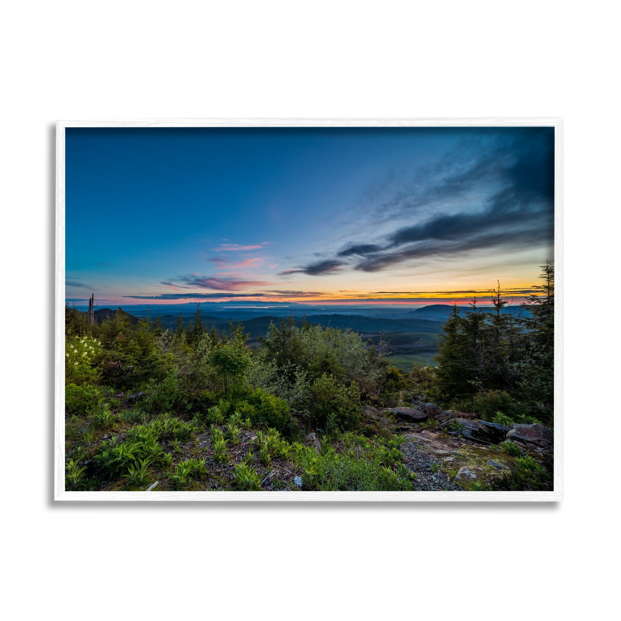 Stupell Industries Dense Brush Sunset Landscape Blue Sky Modern Photography White Framed Art Print Wall Art, 20x16, by Keith Morgan