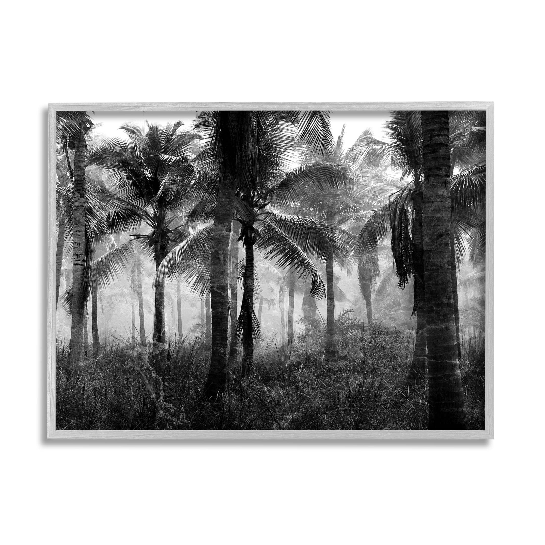 Stupell Industries Dense Tropical Palm Tree Forest Photograph Gray Framed Art Print Wall Art, Design by Kim Allen