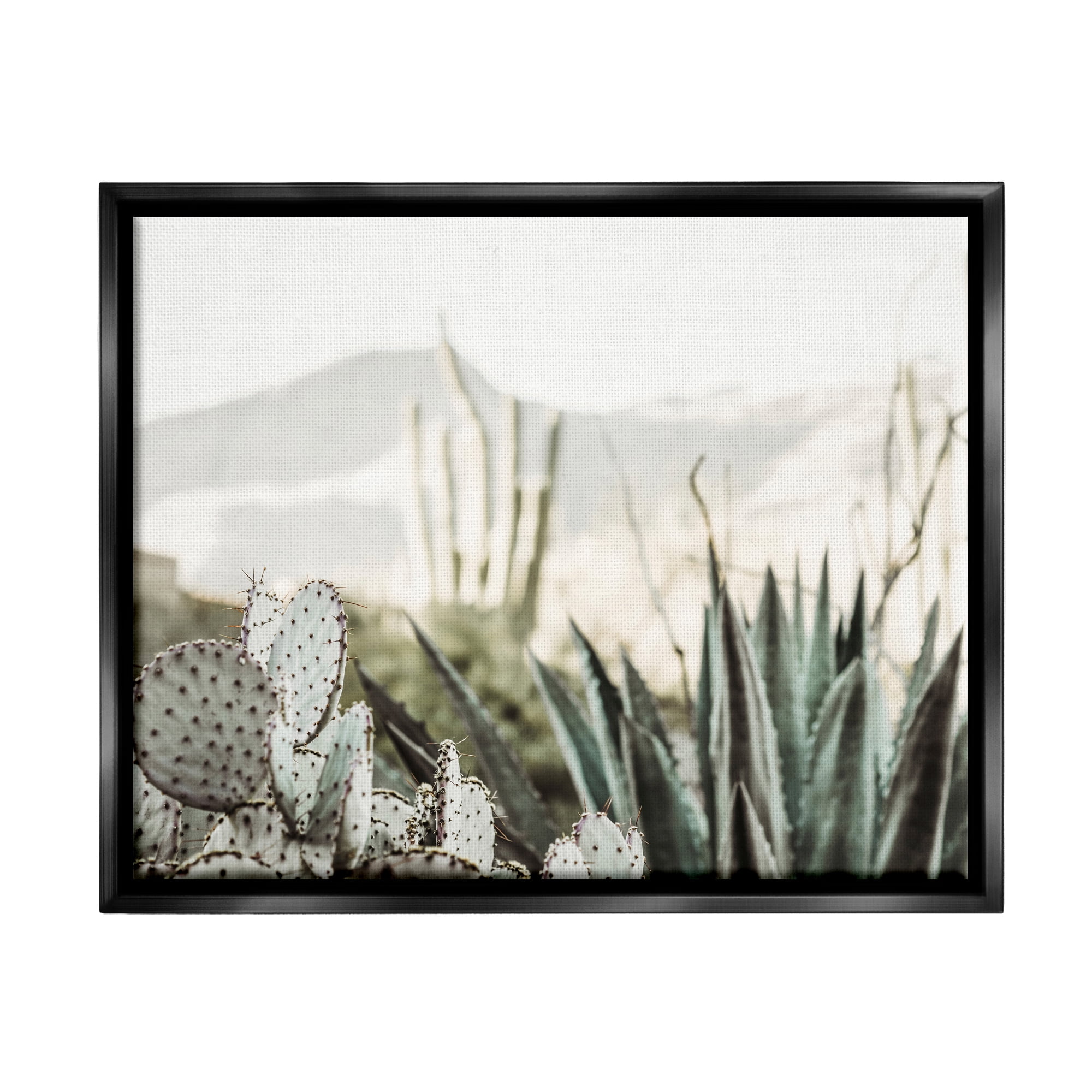 Stupell Industries Desert Cacti Photography Landscape Photography Black Floater Framed Canvas Art Print Wall Art, 21 x 17