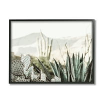 Stupell Industries Desert Cacti Photography Landscape Photography Black Framed Art Print Wall Art, 14 x 11