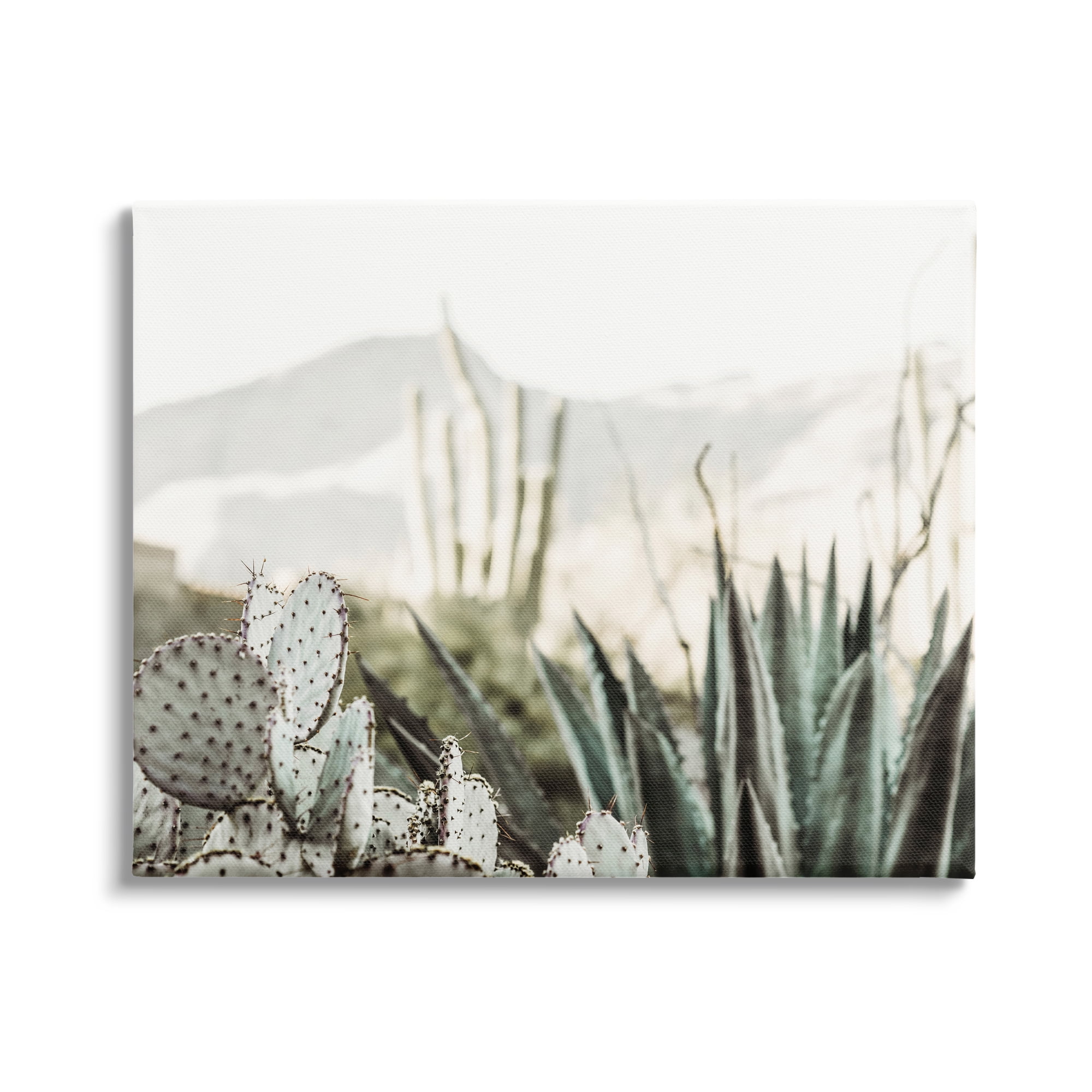 Stupell Industries Desert Cacti Photography Landscape Photography Gallery Wrapped Canvas Art Print Wall Art, 48 x 36