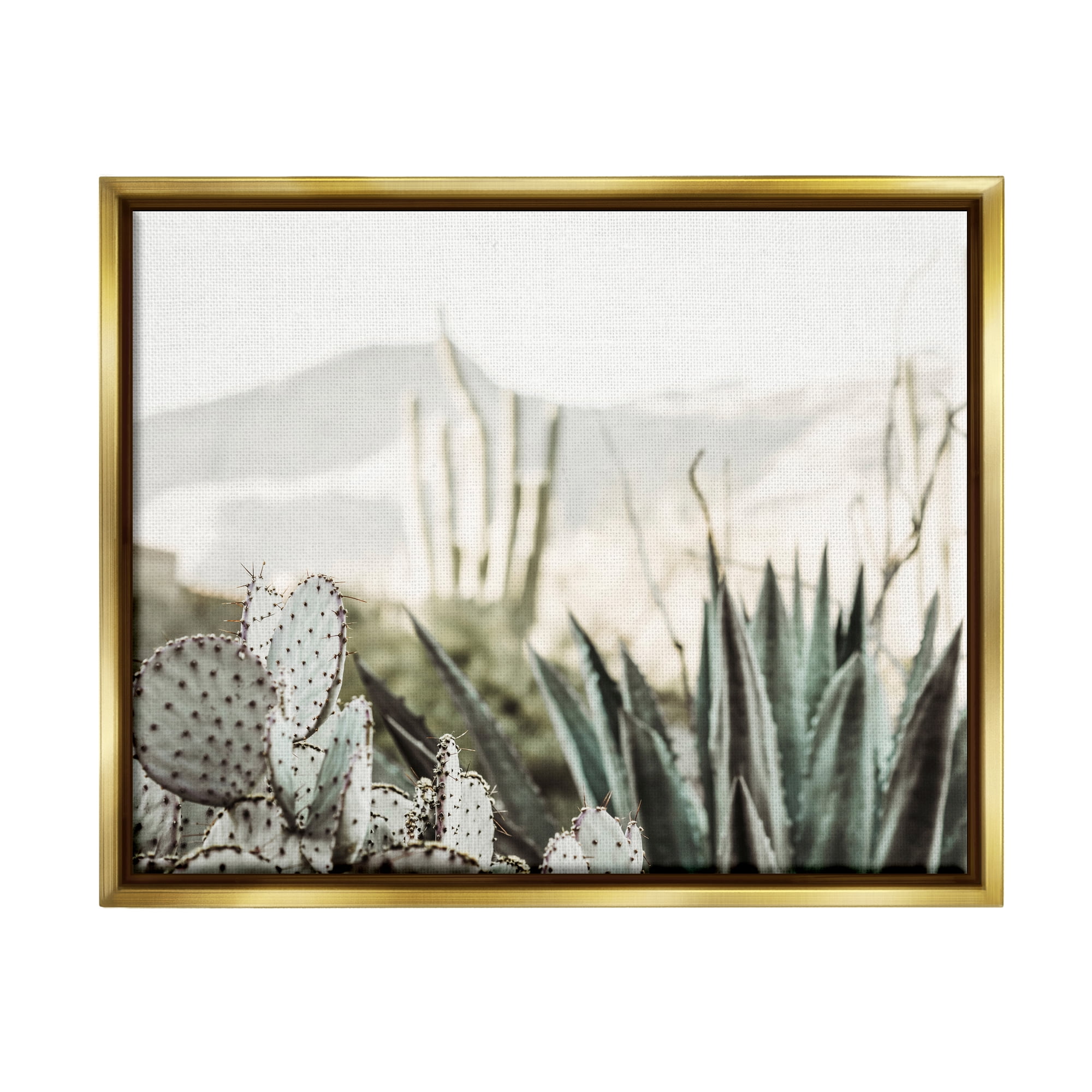 Stupell Industries Desert Cacti Photography Landscape Photography Gold Floater Framed Canvas Art Print Wall Art, 21 x 17