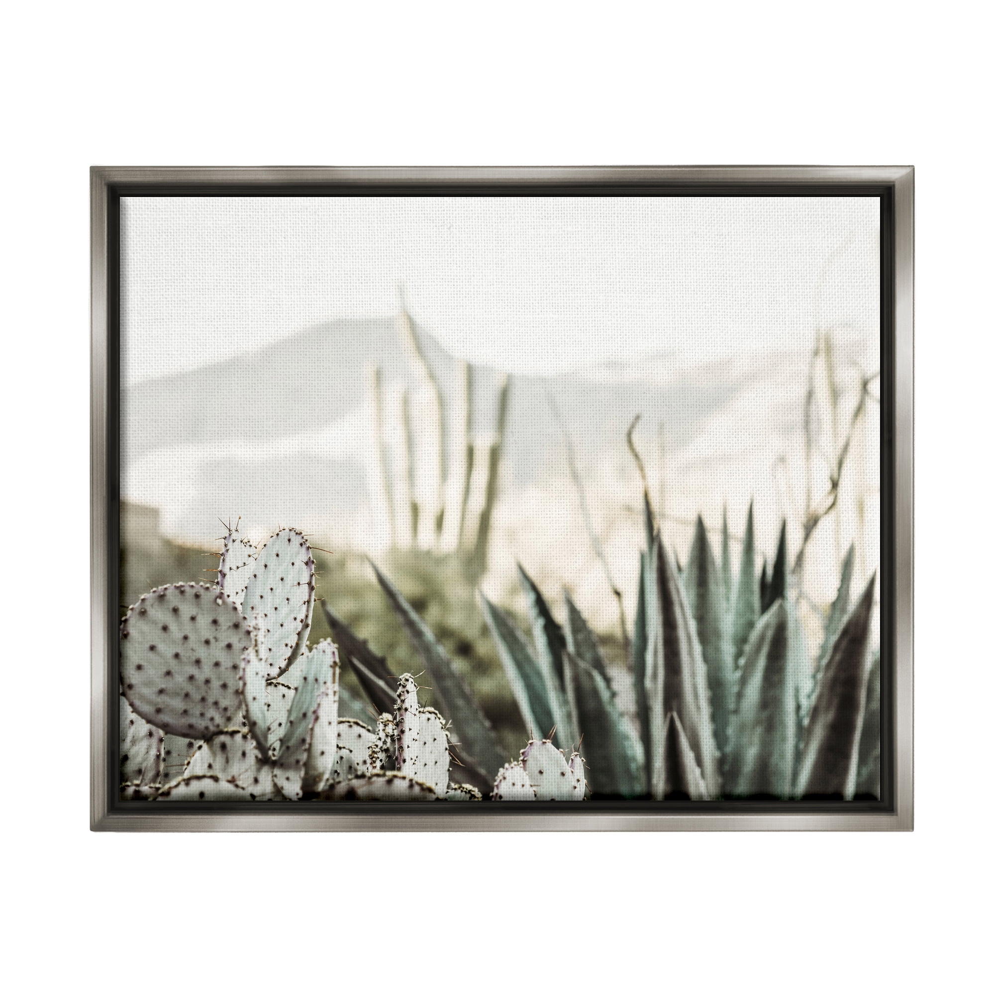 Stupell Industries Desert Cacti Photography Landscape Photography Gray Floater Framed Canvas Art Print Wall Art, 31 x 25