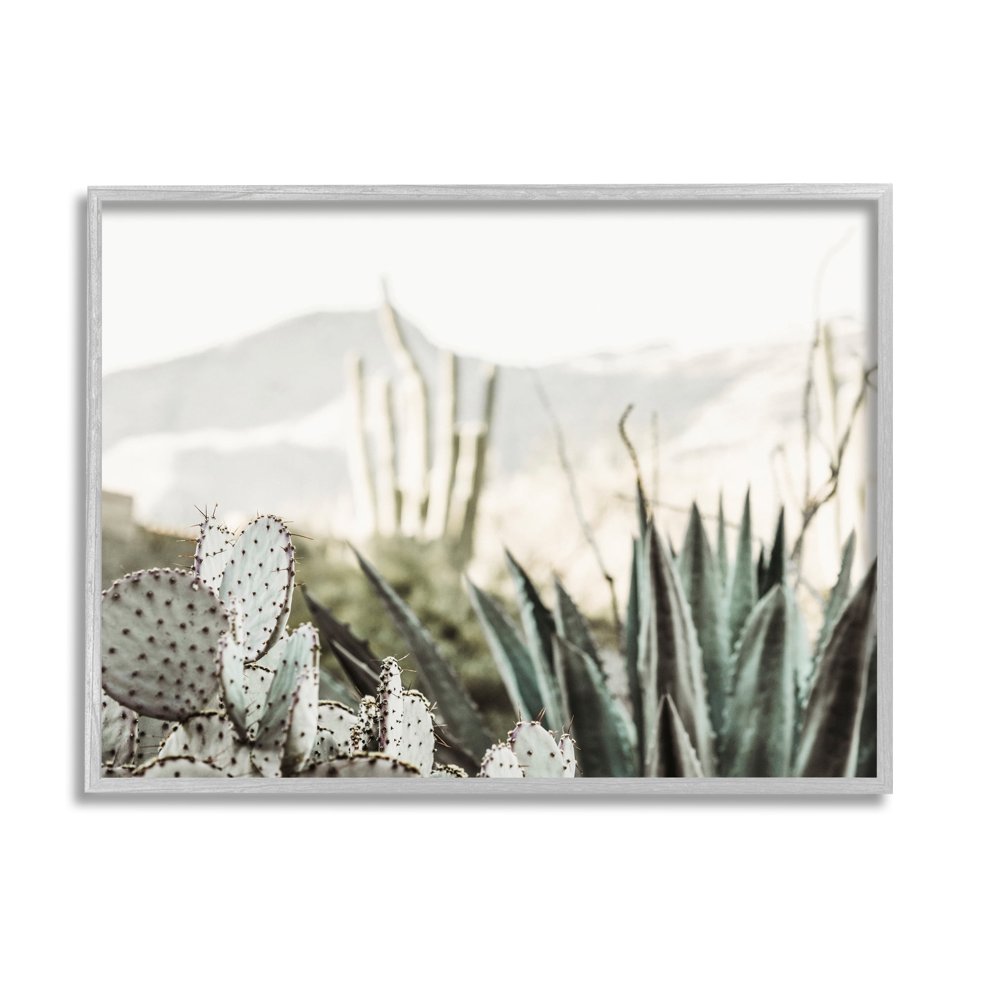 Stupell Industries Desert Cacti Photography Landscape Photography Gray Framed Art Print Wall Art, 20 x 16
