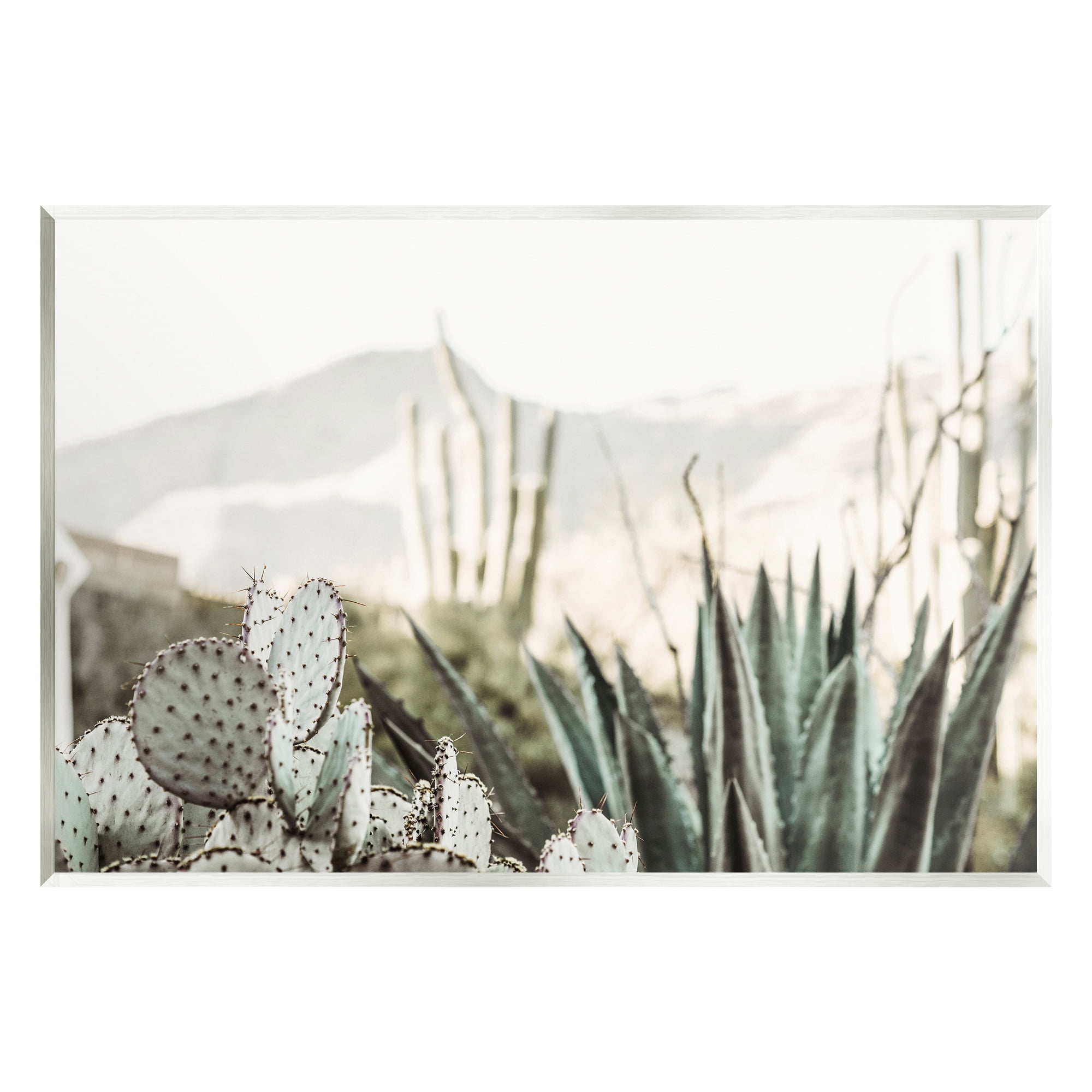 Stupell Industries Desert Cacti Photography Landscape Photography Unframed Art Print Wall Art, 19 x 13