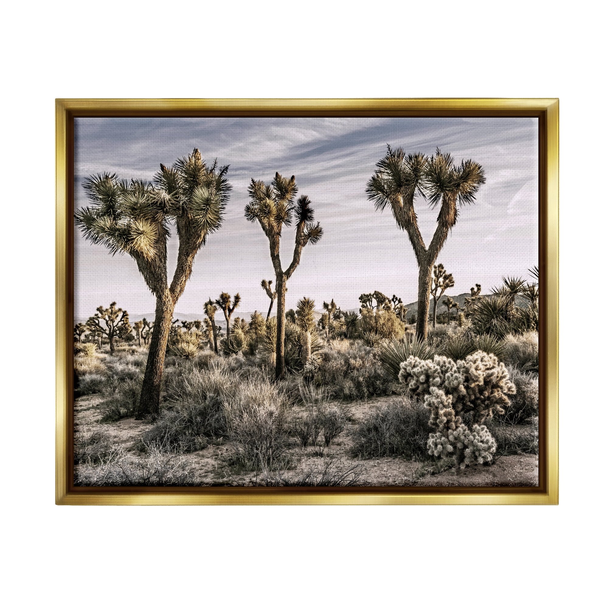 Stupell Industries Desert Cacti Vegetation Landscape Photography Gold Floater Framed Canvas Art Print Wall Art, 31 x 25