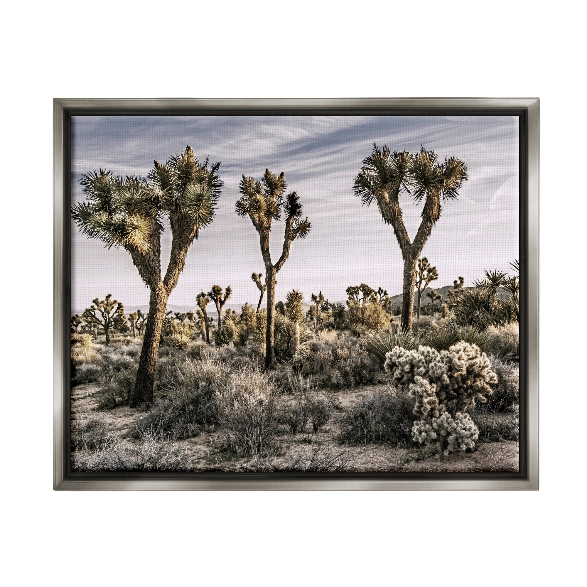 Stupell Industries Desert Cacti Vegetation Landscape Photography Gray Floater Framed Canvas Art Print Wall Art, 21 x 17