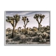 thumbnail image 1 of Stupell Industries Desert Cacti Vegetation Landscape Photography Gray Framed Art Print Wall Art, 30 x 24, 1 of 9