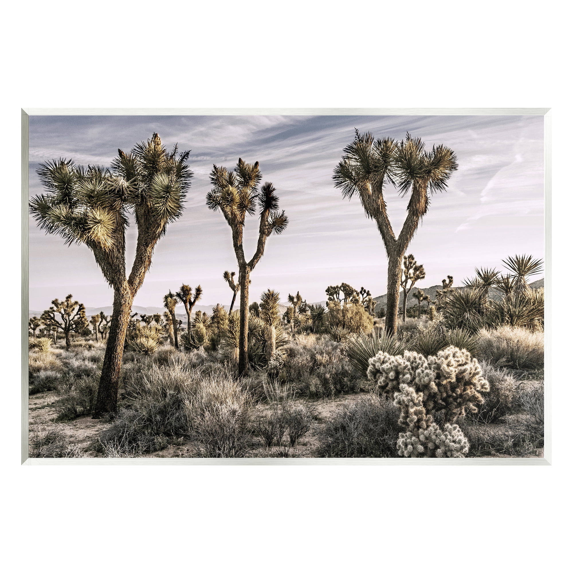 Stupell Industries Desert Cacti Vegetation Landscape Photography Unframed Art Print Wall Art, 19 x 13