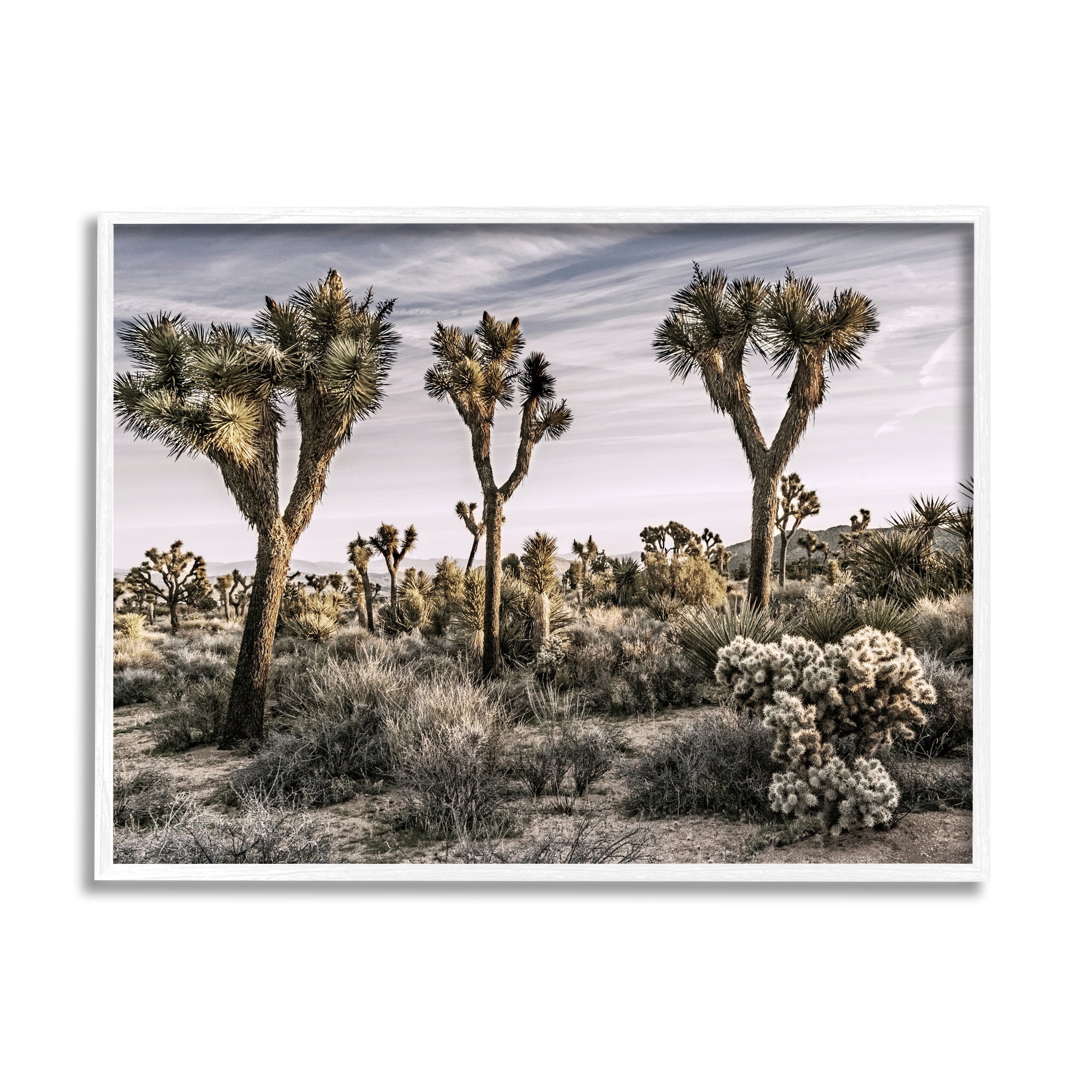 Stupell Industries Desert Cacti Vegetation Landscape Photography White Framed Art Print Wall Art, 20 x 16