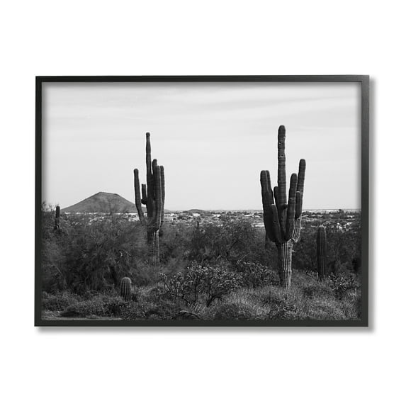 Stupell Industries Desert Cactus Arid Vegetation Monochrome Nature Photography Photograph Black Framed Art Print Wall Art, Design by Graffitee Studios