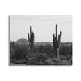 thumbnail image 1 of Stupell Industries Desert Cactus Arid Vegetation Monochrome Nature Photography Photograph Gallery Wrapped Canvas Print Wall Art, Design by Graffitee Studios, 1 of 5