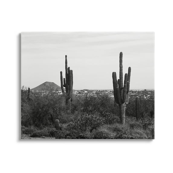 Stupell Industries Desert Cactus Arid Vegetation Monochrome Nature Photography Photograph Gallery Wrapped Canvas Print Wall Art, Design by Graffitee Studios