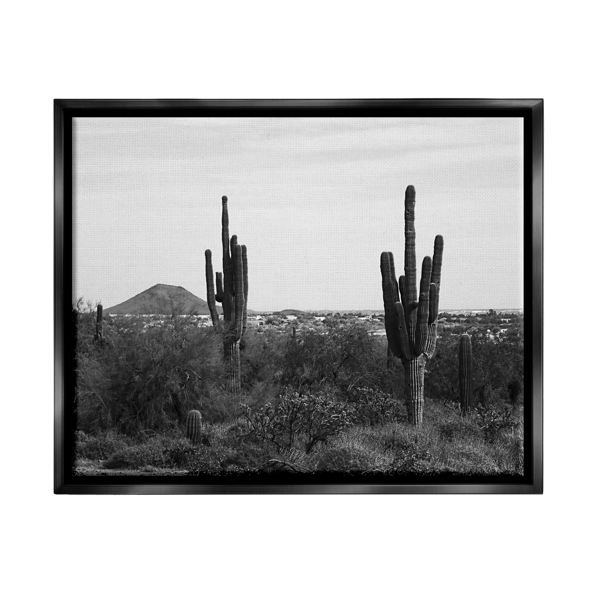 Stupell Industries Desert Cactus Arid Vegetation Monochrome Nature Photography Photograph Jet Black Floating Framed Canvas Print Wall Art, Design by Graffitee Studios