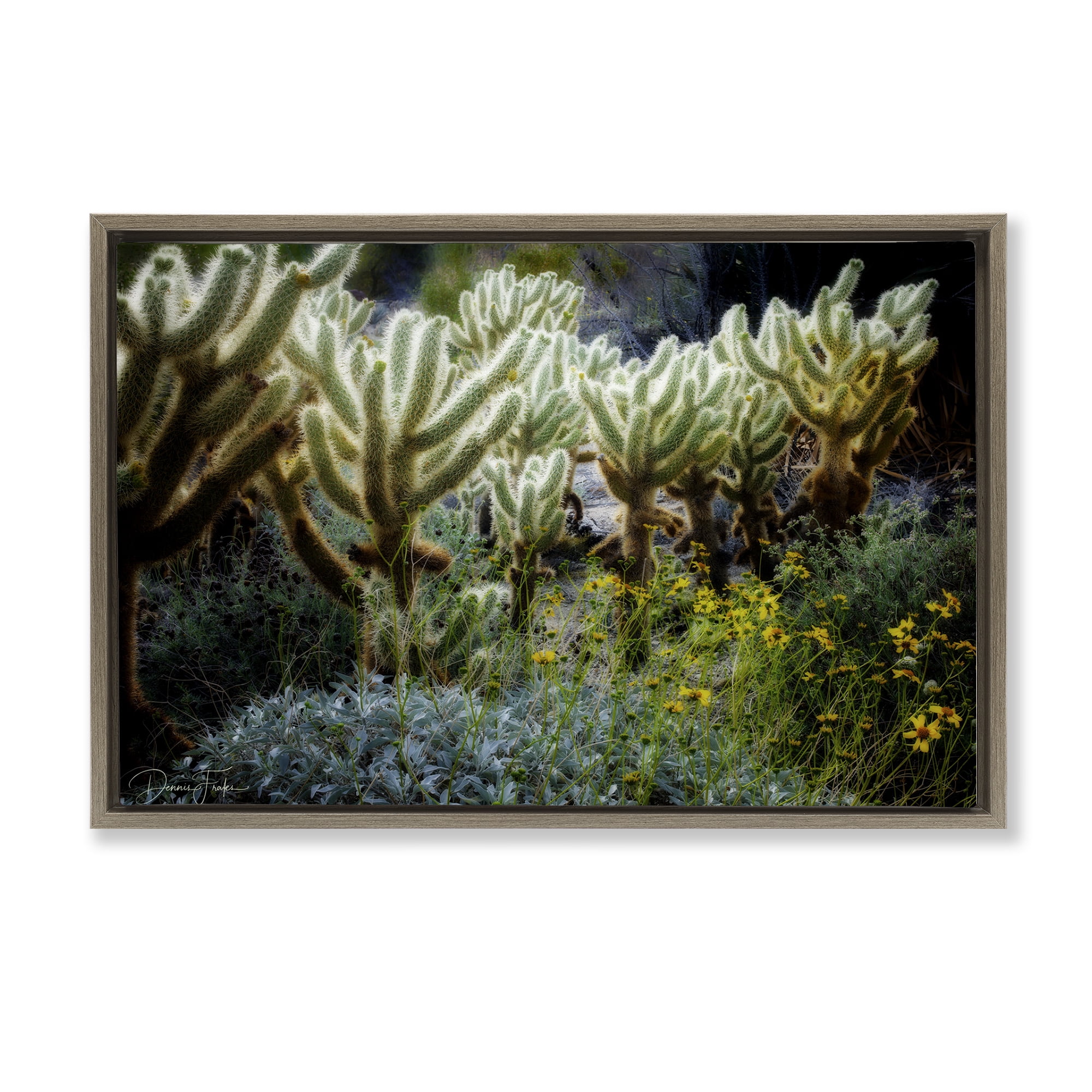 Stupell Industries Desert Cactus Forest Landscape Photography Brown Floater Framed Canvas Art Print Wall Art, 31 x 21