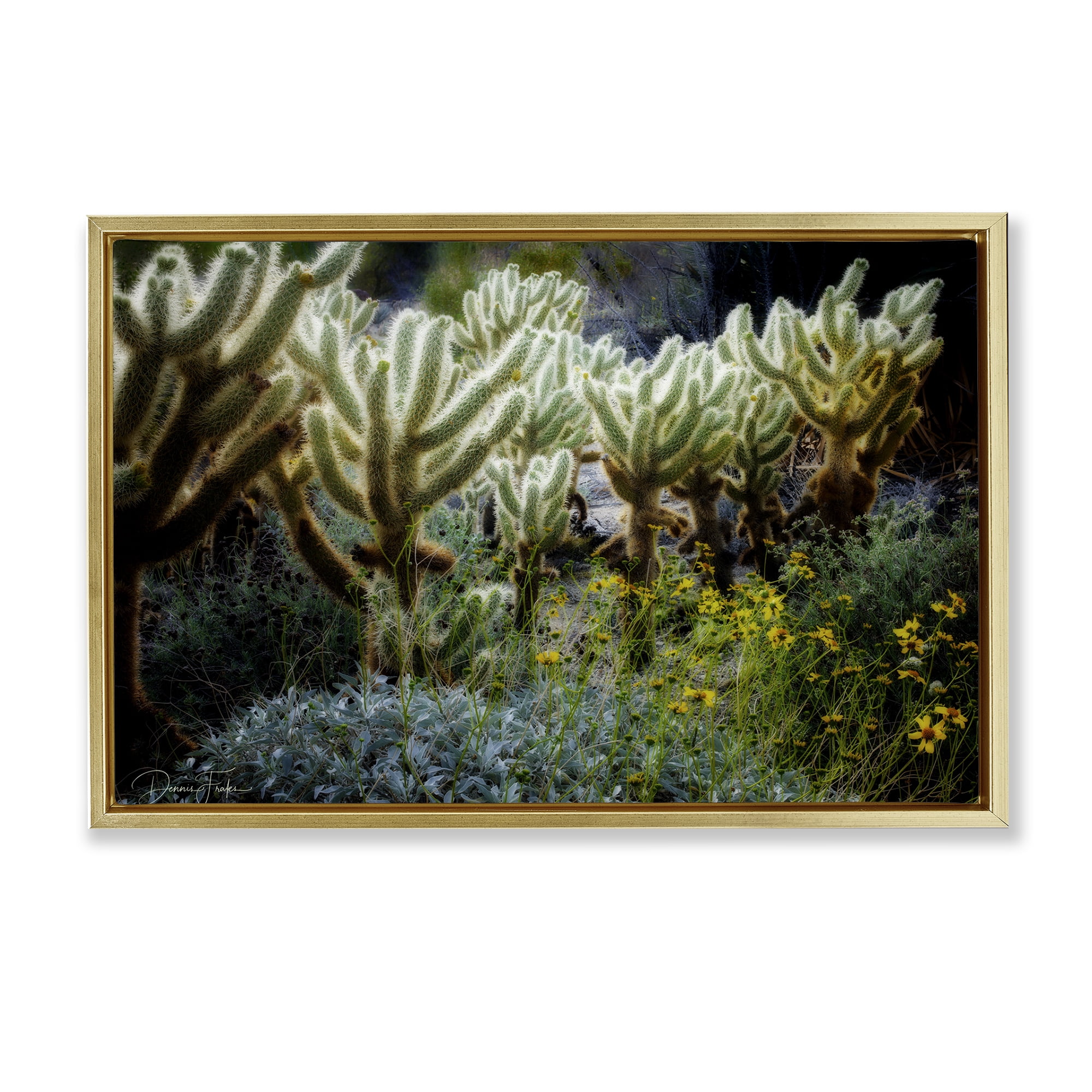 Stupell Industries Desert Cactus Forest Landscape Photography Gold Floater Framed Canvas Art Print Wall Art, 25 x 17