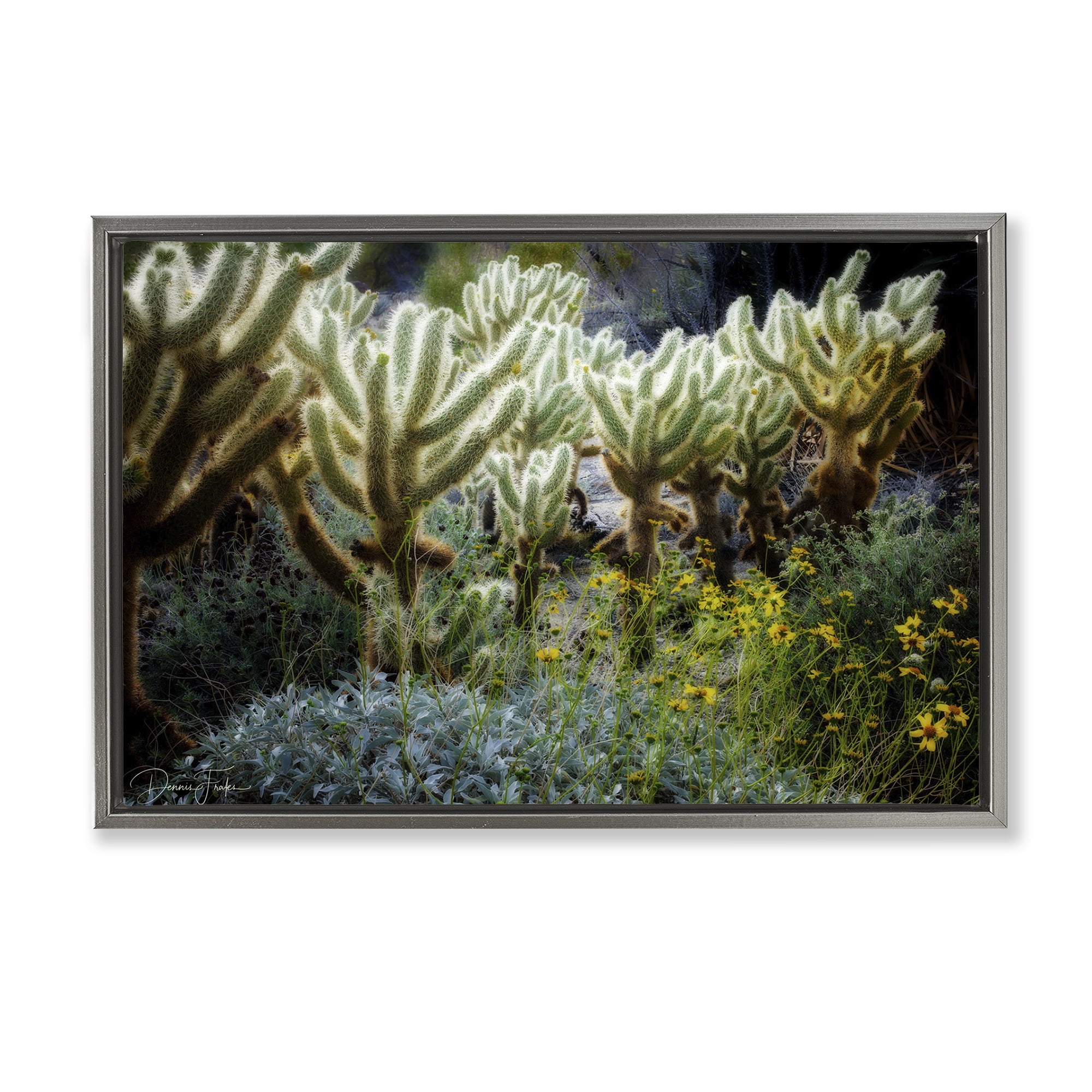 Stupell Industries Desert Cactus Forest Landscape Photography Gray Floater Framed Canvas Art Print Wall Art, 31 x 21
