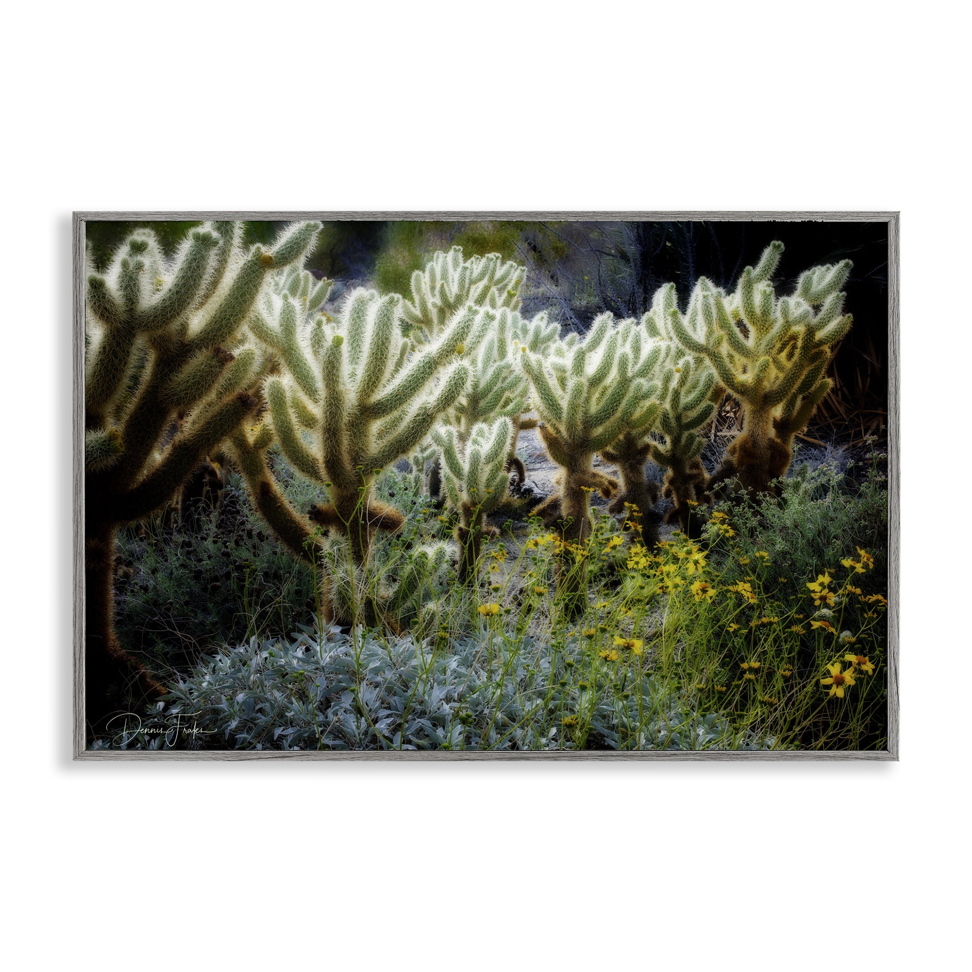 Stupell Industries Desert Cactus Forest Landscape Photography Gray Framed Art Print Wall Art, 30 x 20